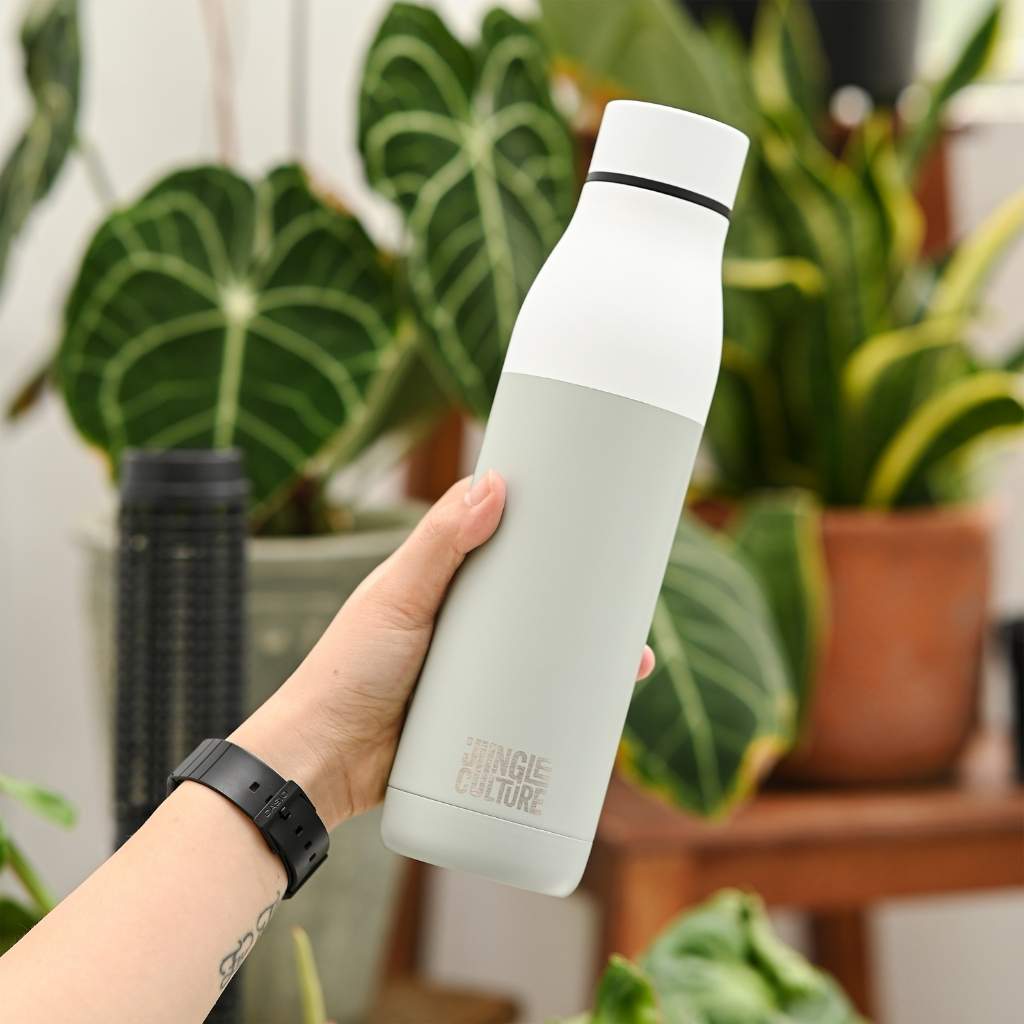 Insulated stainless steel water bottle held against a greenery background