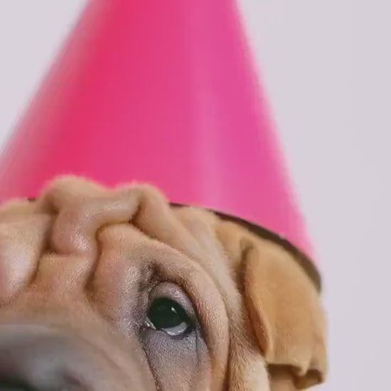 Sage Rose Wedding Invitation – Soft Green Floral Design with Kraft Envelopes