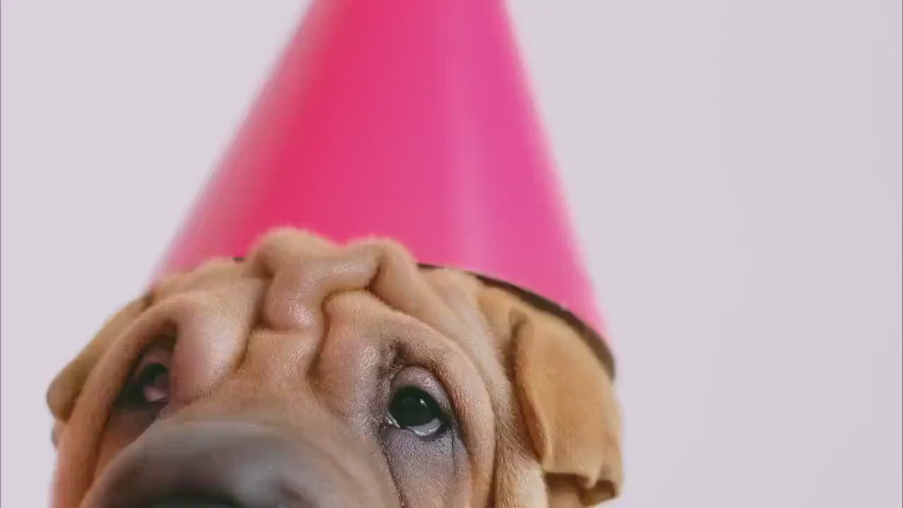 White Rose Wedding Invitation – Greenery Floral Design with Kraft Envelopes